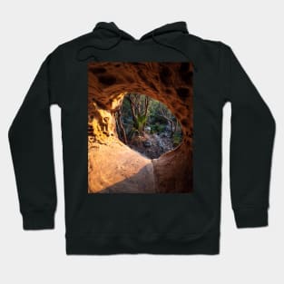 Nature's Eye Hoodie